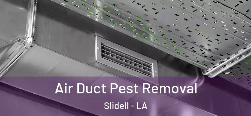  Air Duct Pest Removal Slidell - LA