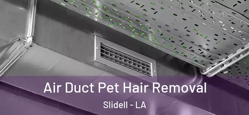 Air Duct Pet Hair Removal Slidell - LA