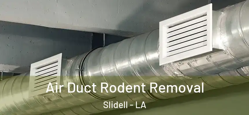  Air Duct Rodent Removal Slidell - LA