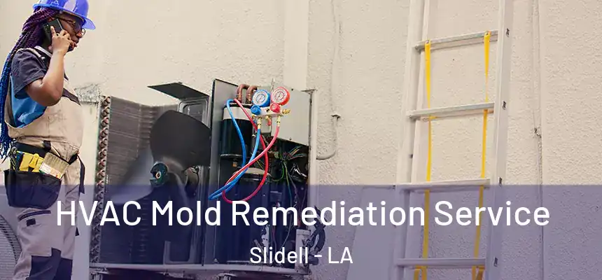  HVAC Mold Remediation Service Slidell - LA