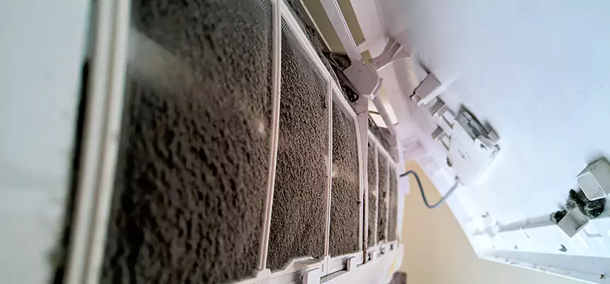 Preventive Air Duct Bacteria Removal in Slidell