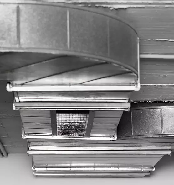 Professional Air Duct Pet Hair Removal in Slidell, LA