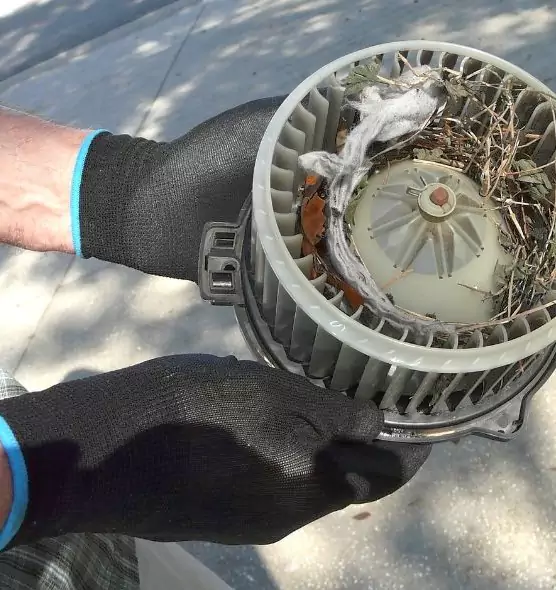 About Air Duct Rat Removal in Slidell, LA