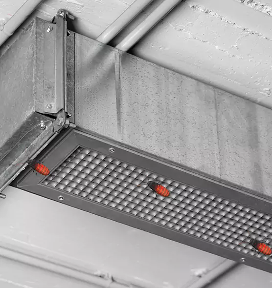 Affordable Insect Removal from Air Ducts in Slidell, LA