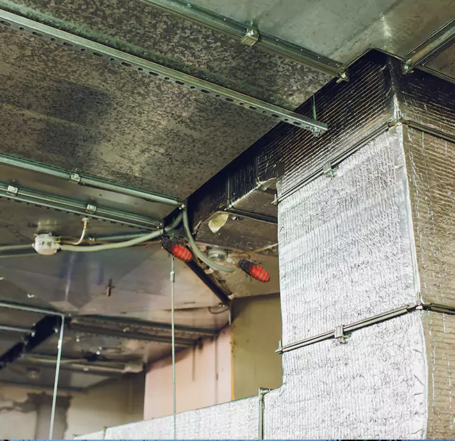 Why Homeowners & Businesses Trust Us Slidell, LA?